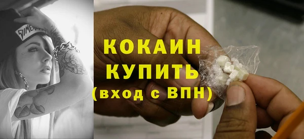 стафф Арсеньев