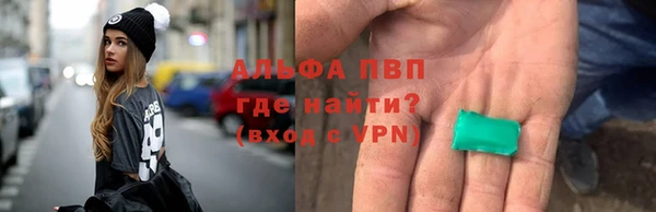 стафф Арсеньев